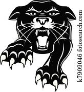 schwarzer panther schwarzer panther