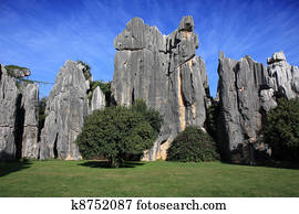 Shilin Stone Forest National Park