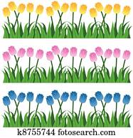 Tulip Rows