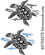 Turtle in sea water Turtle in sea water