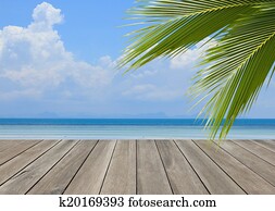 Wood plank over beach with coconut palm tree leaf