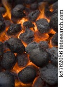 Barbecue Coal