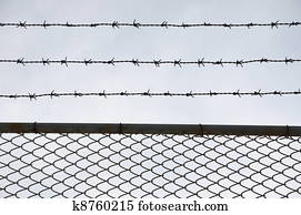 Wired fence Wired fence