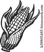 Corn Corn
