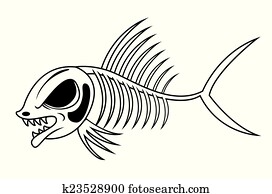fish, שלד