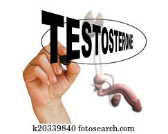 Testosterone