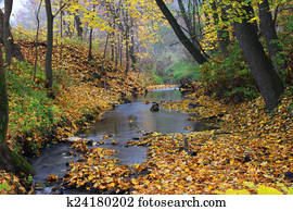 autumn landscape autumn landscape