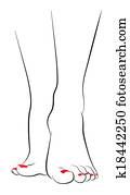Female Feet Female Feet