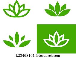 Green lotus set Green lotus set