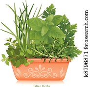 italienisches kraut, garden,, tonerde, blumentopf italienisches kraut, garden,, tonerde, blumentopf