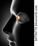 Male face with human eye antomy Male face with human eye antomy