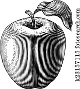 Engraved apple Engraved apple