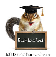 Funny chipmunk hold blackboard, back to school concept Funny chipmunk hold blackboard, back to school concept