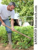 Man gardening