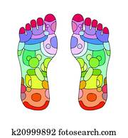 Reflexology foot massage points