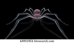 Scary spider black widow Scary spider black widow