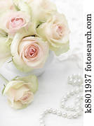 White roses White roses