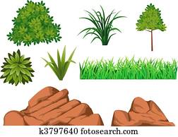 Bush and rock Bush and rock