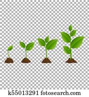 Green Sprout Set Transparent Background Green Sprout Set Transparent Background