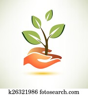 palm and plant symbol, ecology concept palm and plant symbol, ecology concept