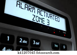 Alarm Panel Activated Alarm Panel Activated