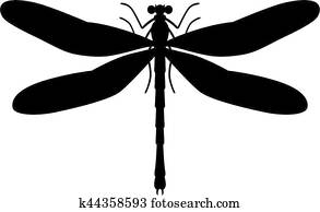 Dragonfly Dragonfly