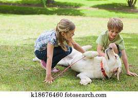Full length of kids playing with pet dog at park
