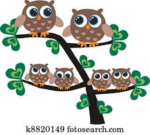 owl family