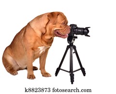 Photographer with photo camera Photographer with photo camera