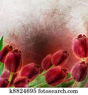 Tulips Spring border design Tulips Spring border design