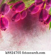 Tulips Spring border design Tulips Spring border design