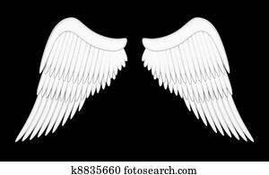 Angel wings