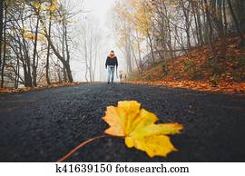 fallen leaf trail fallen leaf trail