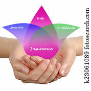 Insurance Insurance