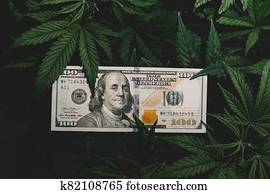 peniaze, a, cannabis., kanvica, finance., renta, do, ten, marihuana, usilovnosť, a, ten, medical.