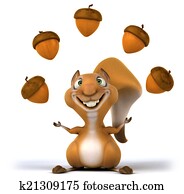 Squirrel Squirrel