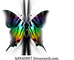 美しい 蝶 スケッチ K Fotosearch