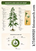 Benefits and Uses of Hemp vertical tetxtbook infographic Benefits and Uses of Hemp vertical tetxtbook infographic