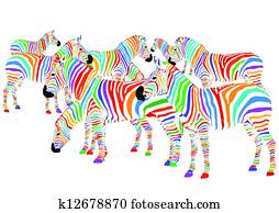 coloridos, zebras