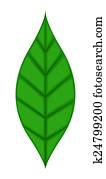 Green Leaf Green Leaf