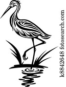 Heron bird Heron bird