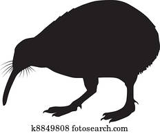 Kiwi Clipart Vectors | Our Top 1000+ Kiwi Graphics | Fotosearch