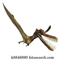 zhenyuanopterus, דינוזאור, 2