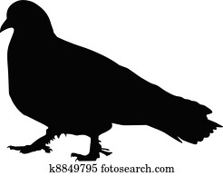 צללית, של, a, יונה