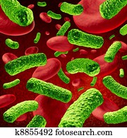 bactérias, sangue, infecção