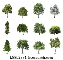 jogo, árvores., vetorial