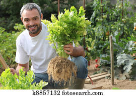 Man in vegetable garden Man in vegetable garden