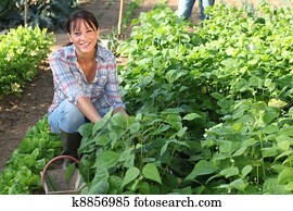 Woman gardening Woman gardening