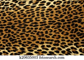 נמר, נקודות