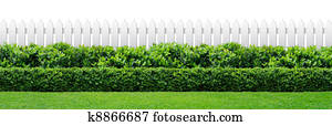 white fence and hedge white fence and hedge